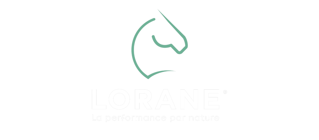 Logo vert de la marque Lorane.