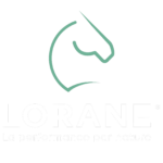 Logo vert de la marque Lorane.