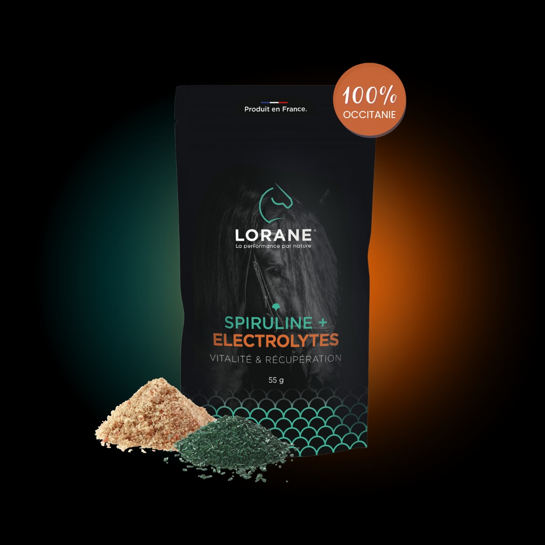 Pack SPIRULINE ELECTROLYTES - face