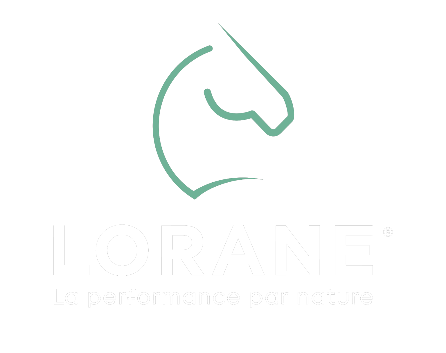 Logo vert de la marque Lorane.